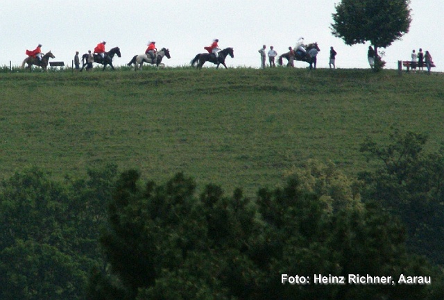 Z021 freischarenmanoever.jpg